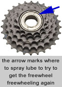 Get some lube inside to free the freewheel